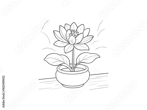 vector illustration of a water lily