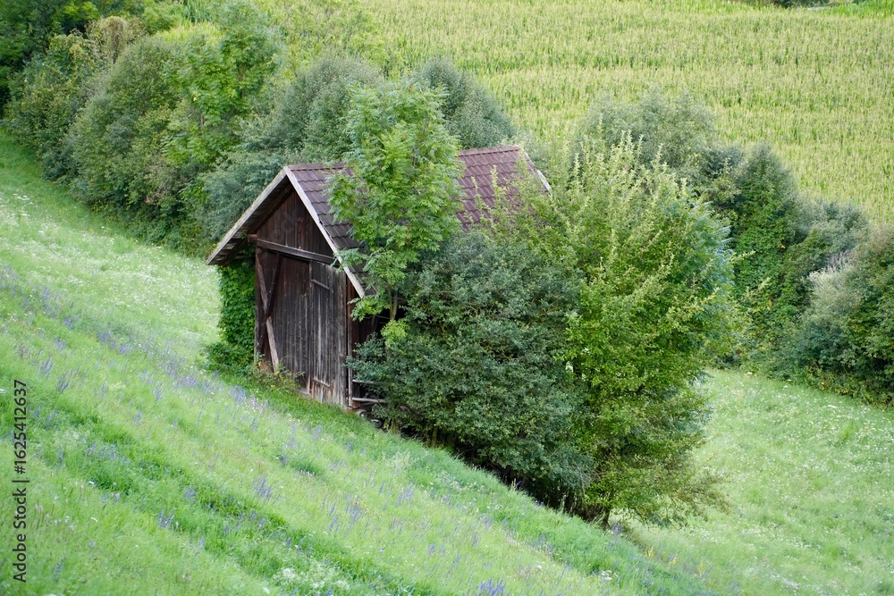 Fototapeta premium old farm house