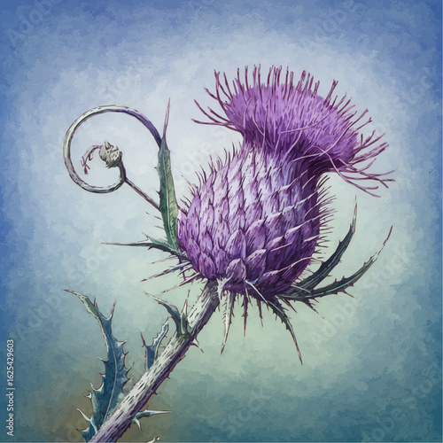 Twisted Bruise Illustration