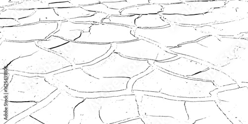 black and white Dry Cracked Earth Representing Drought and Arid Climate cracked surface with irregular shapes and dark lines forming patterns background or texture element.