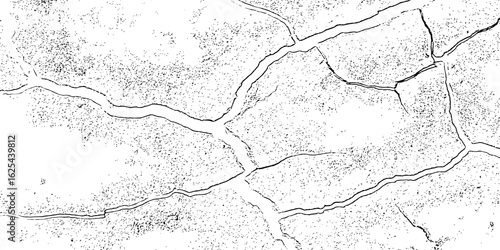 black and white Dry Cracked Earth Representing Drought and Arid Climate cracked surface with irregular shapes and dark lines forming patterns background or texture element.