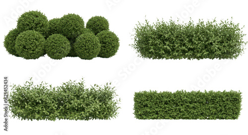 Photo of a set of four green hedges and bushes isolated on transparent background, perfect for architectural visualization