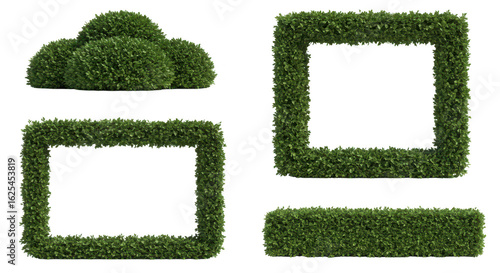 Photo of a set of four lush green hedge elements isolated on transparent background, ideal for creating natural borders and decorative elements
