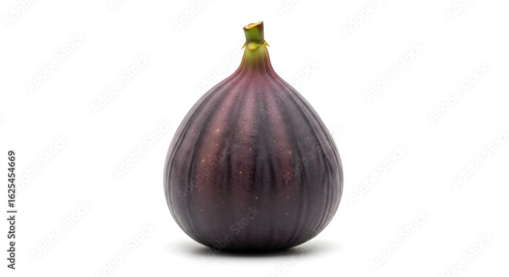 Fototapeta premium Figo