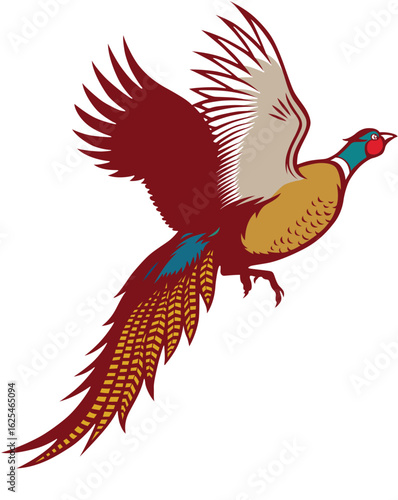 Peacock vactor image.eps