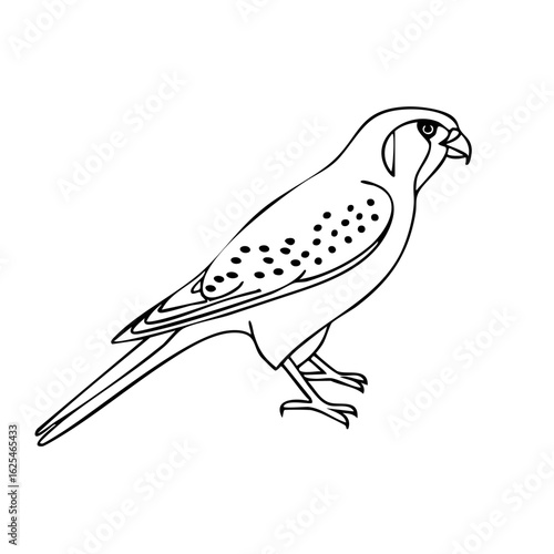 Stylized line art of a standing kestrel bird of prey in profile view