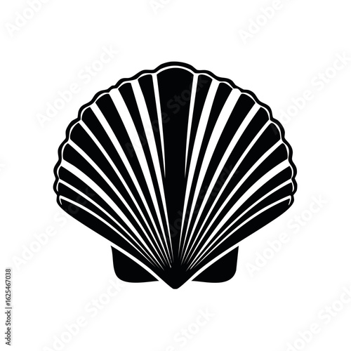 Elegant seashell vector silhouette, sea scallop close up, graphic illustration, ocean life drawing, black and white nautical design