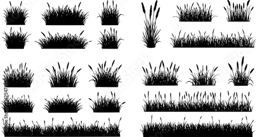 Set of grass silhouette vector illustrations isolated on white background
