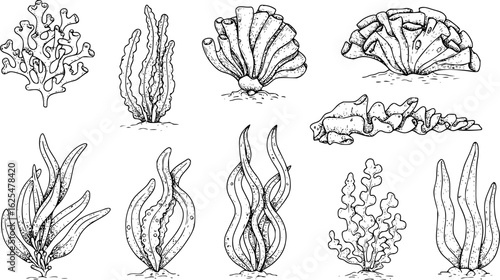 seaweed set hand drawn vector illustration in outline style silhouette isolated on white background 
