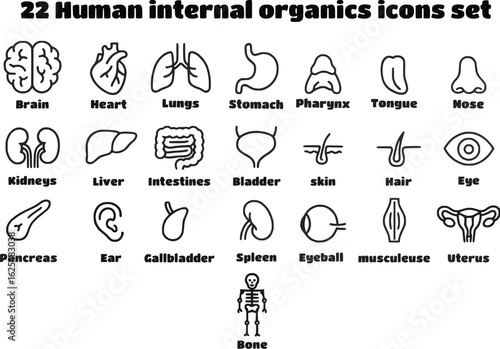 Set of 22 human internal organ icons including brain, heart, kidney, stomach, lungs, liver, intestine, nerve, and knee joint drawn in black outline style. Concept of anatomy, human health	
