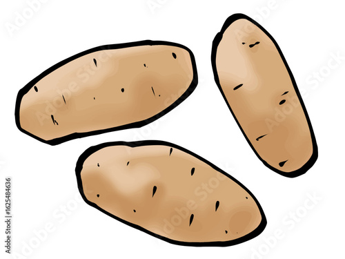 筆 メークイン （ジャガイモ） 芋 ポテト 手描き