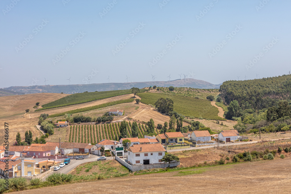 Fototapeta premium Rolling Hills and Rural Village in Summer Light