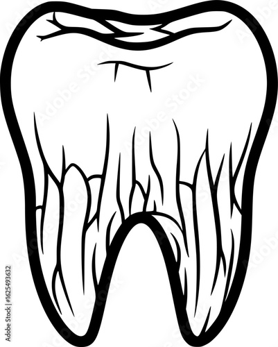 Mastodon molar grinding tooth outline vector
