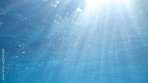 The sun shines through water, casting mottled light and shadow, intertwined with countless bubbles underwater, like a dance of light. Various aquatic, fish swimming in water in Mediterranean sea.