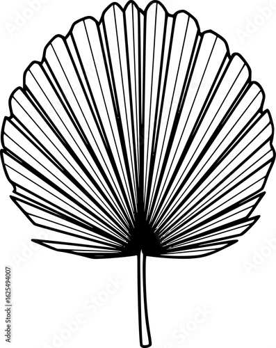 Fossil palm frond fan leaf outline icon vector
