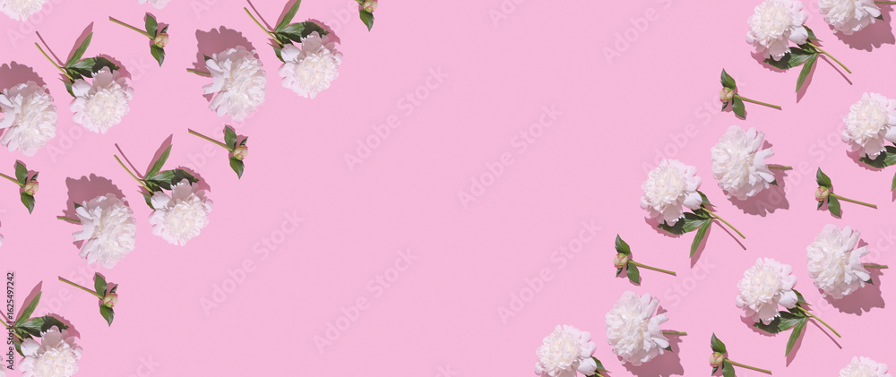 Fototapeta premium Delicate white flowers arranged artistically on a vibrant pink background for a cheerful decoration