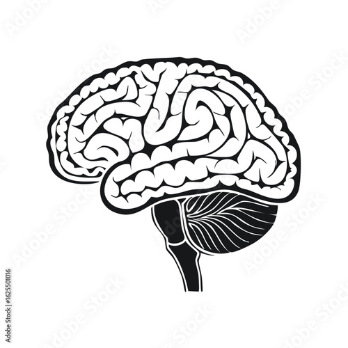 Stylized human brain side view illustration. Black and white graphic icon for mind and science.