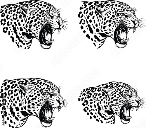 Four ferocious jaguar head profiles in detailed black and white illustration