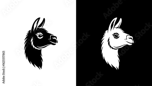 A serene llama's profile, elegantly depicted in stark black and white, evokes a sense of calm amidst a minimalist landscape.