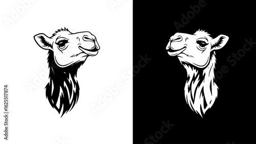 A serene camel's head, gazing serenely, against a stark monochrome background, evokes a sense of desert tranquility.