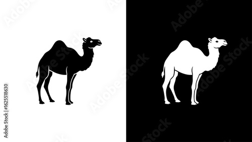 A serene camel stands gracefully against a stark black and white background, conveying a sense of duality and timeless elegance.