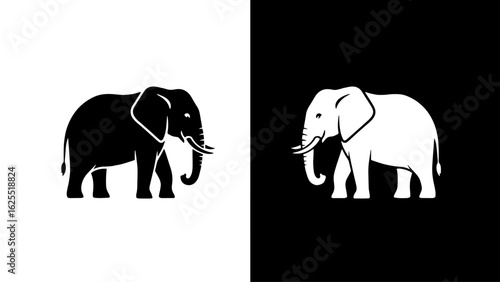 A majestic African elephant calmly walks across a stark black and white background, symbolizing duality and strength.