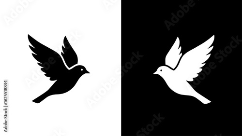 A black and white dove soars gracefully through the air, symbolizing peace and hope against a contrasting background.