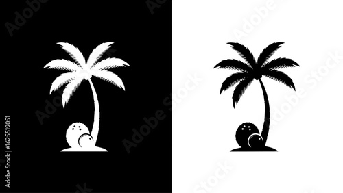 A majestic palm tree graces a tropical island, its fronds swaying gently in the warm breeze, two ripe coconuts resting at its base, evoking serenity.