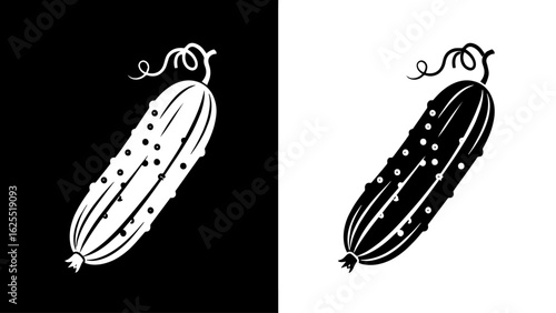 A single, fresh cucumber with bumpy skin and a curly stem stands against a stark black and white background, conveying a sense of simplicity and freshness.