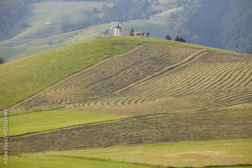 Gallio shrine and cultivated fields