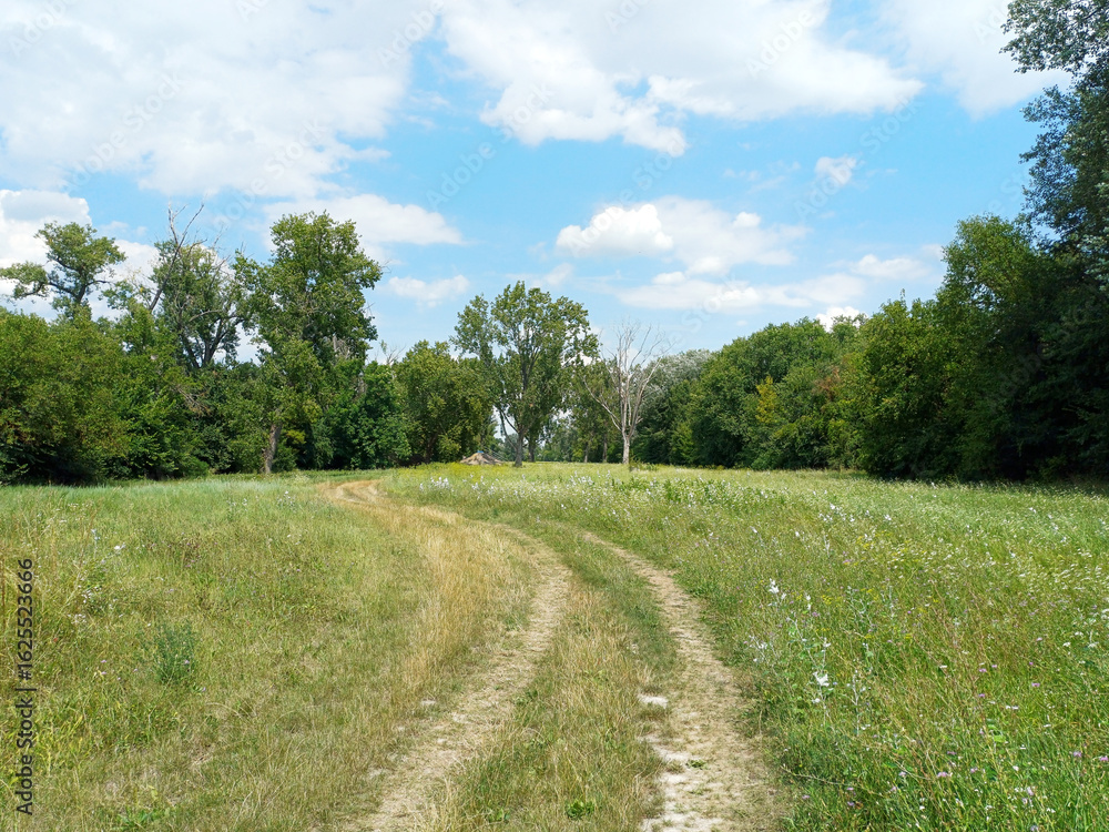 Obraz premium Dirt Path Through the Summer Meadow