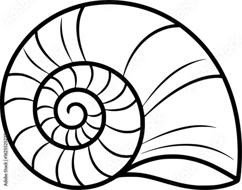 Gastropod fossil snail shell outline vector

