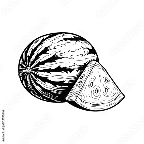 Classic Hand-Drawn Watermelon Illustration Detailed Engraving Style of a Whole Fruit and a Refreshing Slice, Perfect for Summer Concepts and Healthy Food Designs. Vintage Botanical Sketch Art.