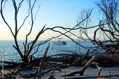 Keewaydin Island Scenes (2)