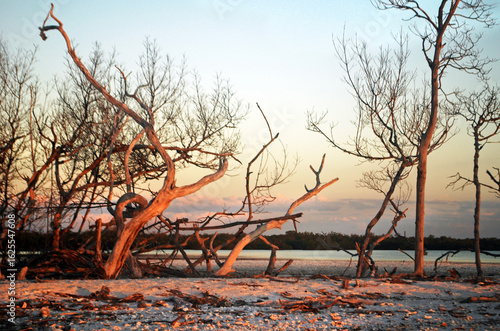 Sun Sets on Key Waden, Florida (1)