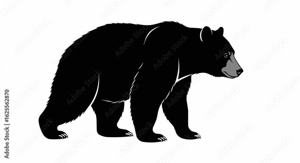 Fototapeta premium silhouette of a bear