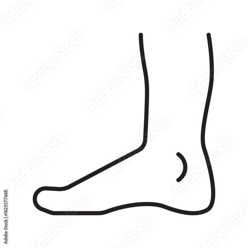 Single icon of the Achilles tendon, commonly used for anatomy, sports injury, or rehabilitation topics. Editable stroke vector illustration.