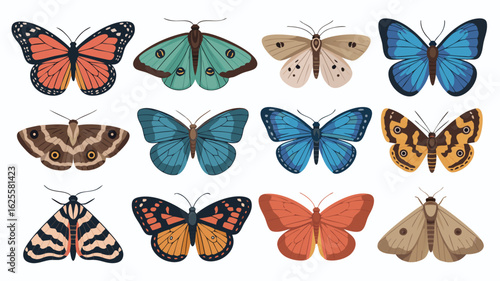 Variety of Beautiful Butterflies and Moths Illustration in Vibrant Colors, Decorative Insect Collection
