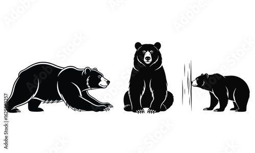 Black bear silhouettes in various poses, walking, sitting, standing wildlife set