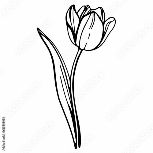 Wallpaper Mural Single tulip flower silhouette isolated on white background Torontodigital.ca