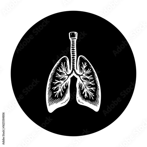 Elegant lungs illustration conveying respiratory health and medical anatomy with minimalist aesthetic on a black backdrop