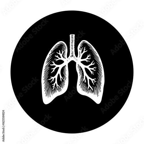 Anatomical lungs illustration on black background showcasing respiratory system health and medical science concept of breathing