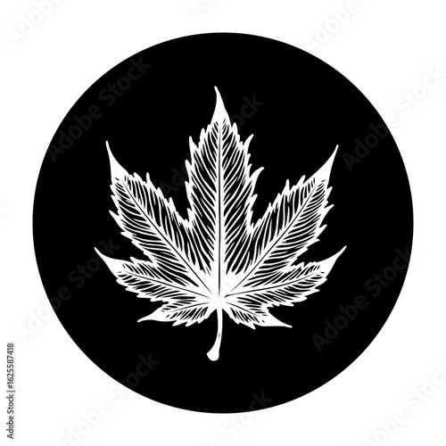 Cannabis leaf illustration in black circle background showcasing the plant's distinct shape and texture artwork design for various use