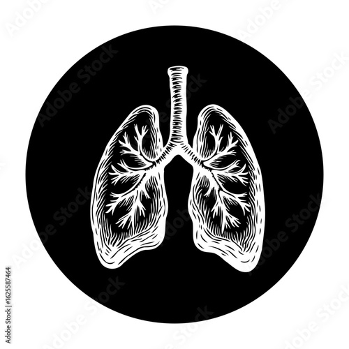 Illustration of lungs for medical or educational purposes, health awareness and anatomical representation, promoting knowledge