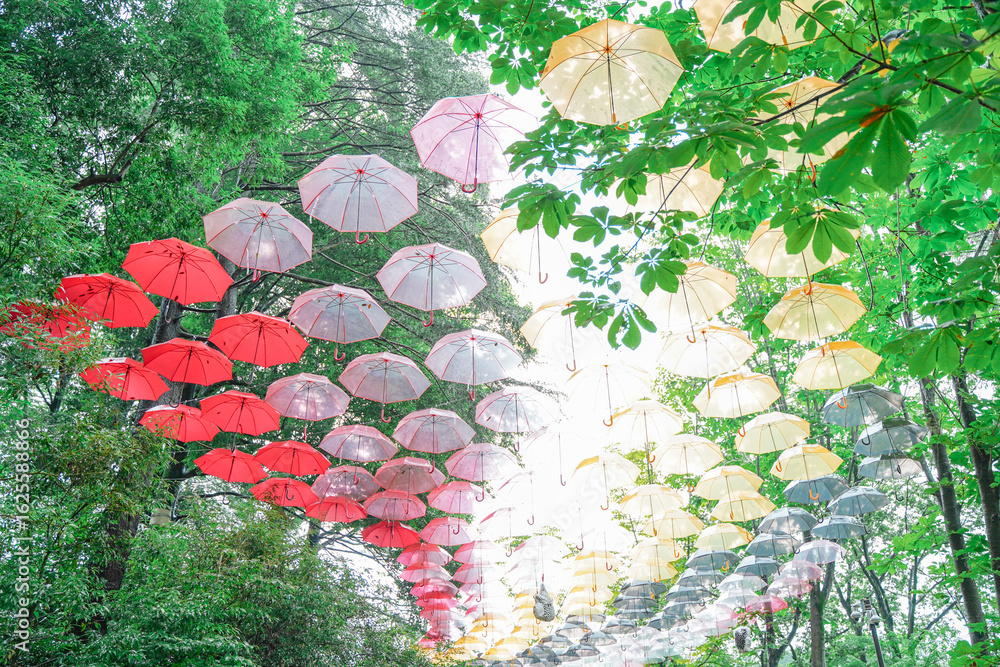 Fototapeta premium Rainy day, Clear Umbrella Art Installation in Forest Path