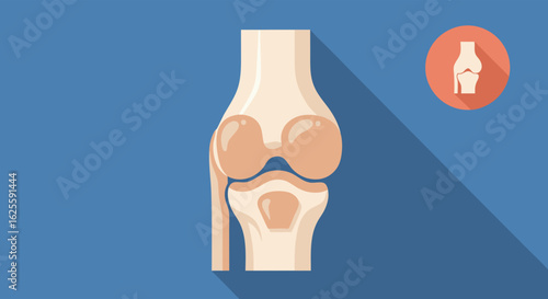 Illustrative Visual Depiction of Human Knee Anatomy for Educational and Medical Contexts