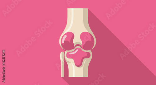 Stylized knee joint illustration symbolizing orthopedic health and musculoskeletal research focus for anatomy educational resources and medical