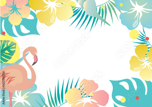 ハイビスカス、背景、花、トロピカル、沖縄、ハワイ、貝、夏、バカンス、初夏、南国、モンステラ、植物、観葉植物、フレーム、バックグラウンド、アブストラクト、おしゃれ