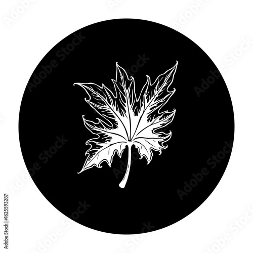 Elegant leaf silhouette on a black circle background providing natural simplicity and autumnal sophistication with organic lines