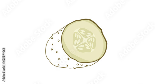 Artistic depiction of a sliced cucumber on a plain white background showcases the natural food texture and color palette with elegance